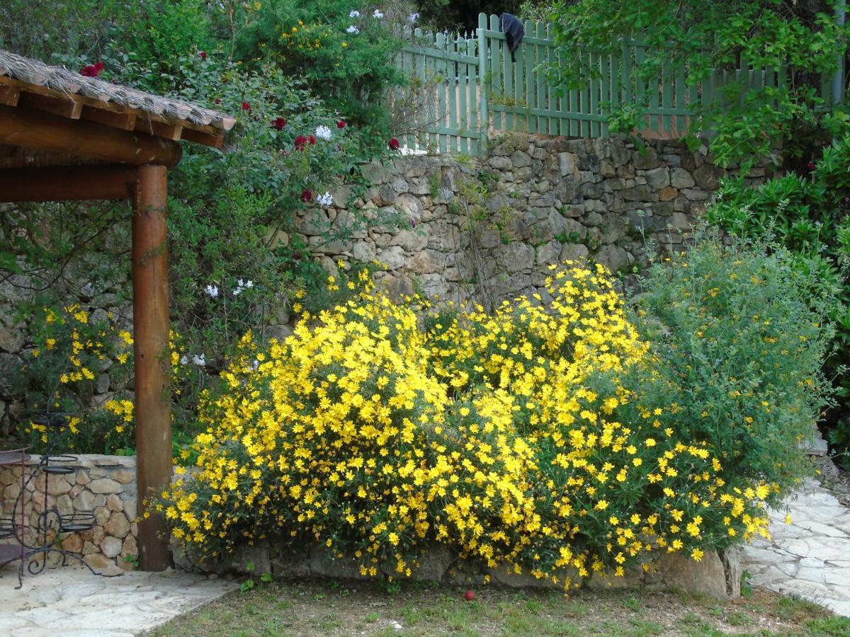 Mas Des Citronniers Bed & Breakfast Le Tignet Exterior photo